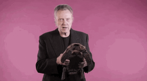 Christopher Walken holding and admiring a turtle